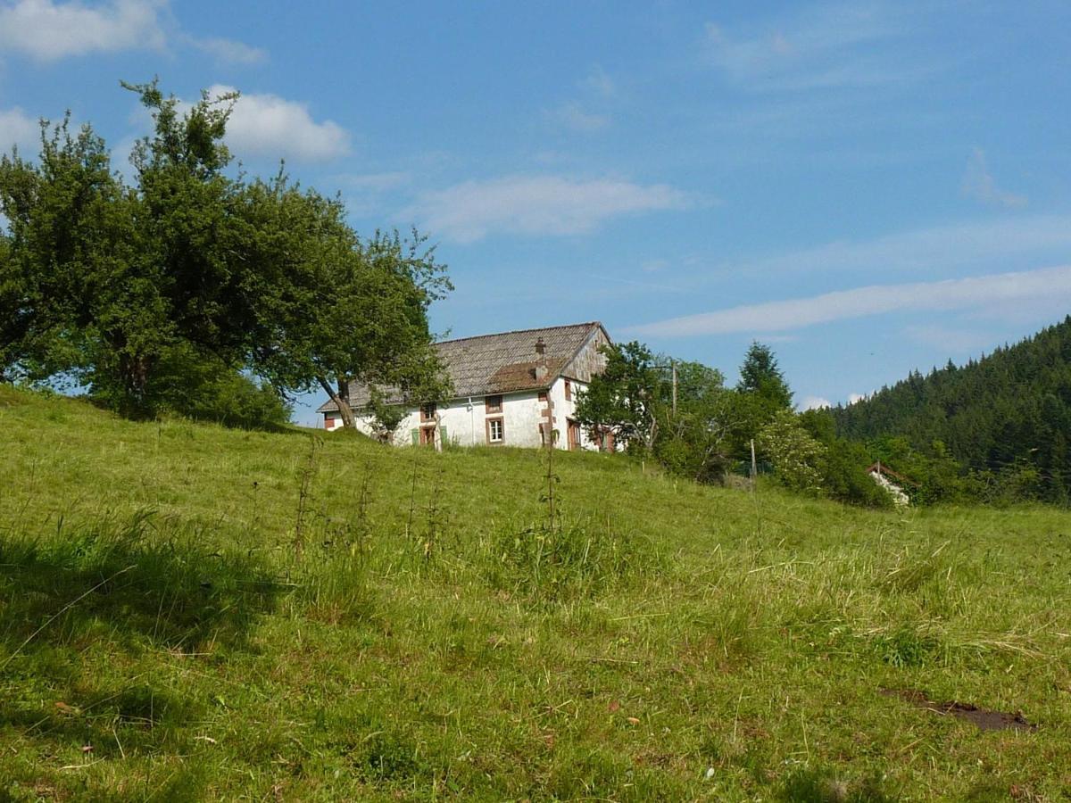 Charming Holiday Home Near The Ski Slopes Vagney Zewnętrze zdjęcie