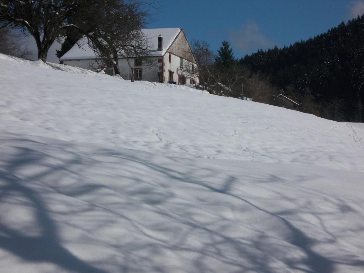 Charming Holiday Home Near The Ski Slopes Vagney Zewnętrze zdjęcie