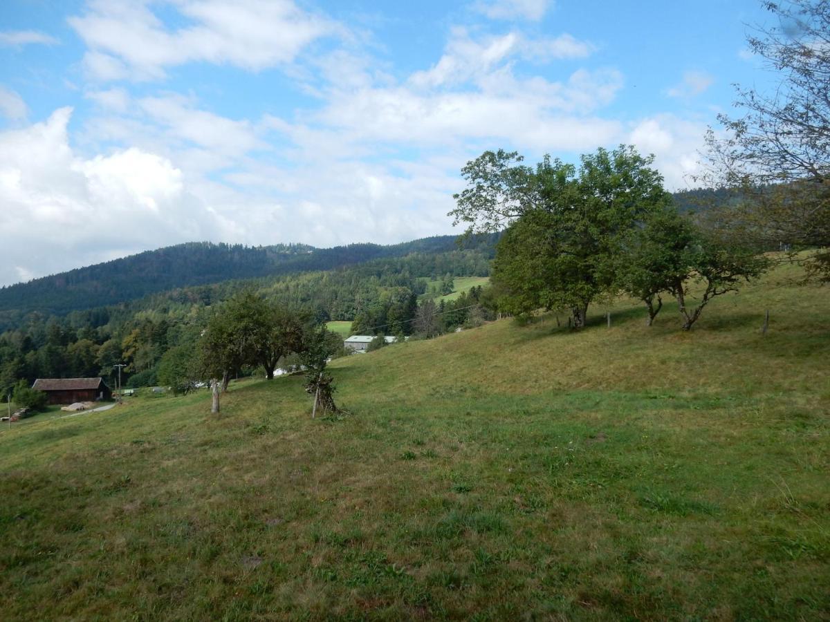 Charming Holiday Home Near The Ski Slopes Vagney Zewnętrze zdjęcie