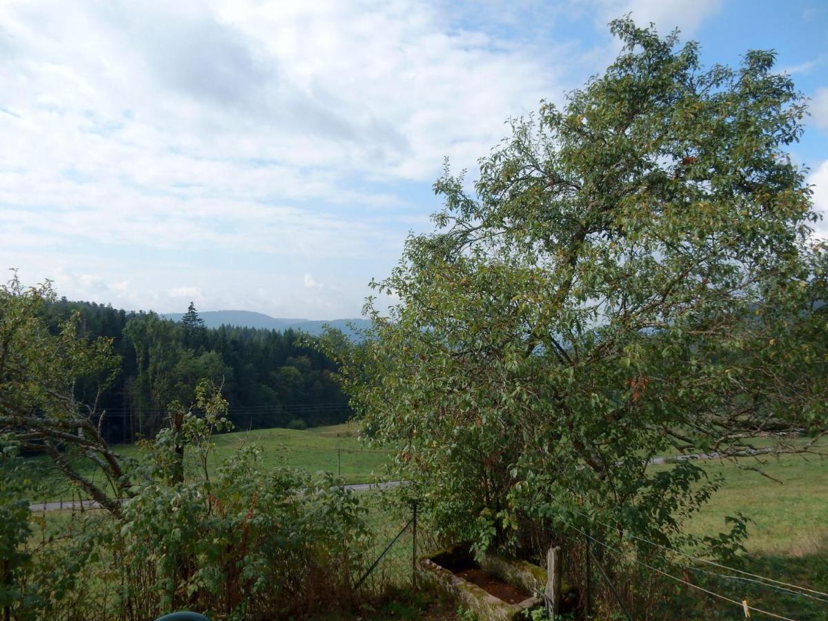 Charming Holiday Home Near The Ski Slopes Vagney Zewnętrze zdjęcie