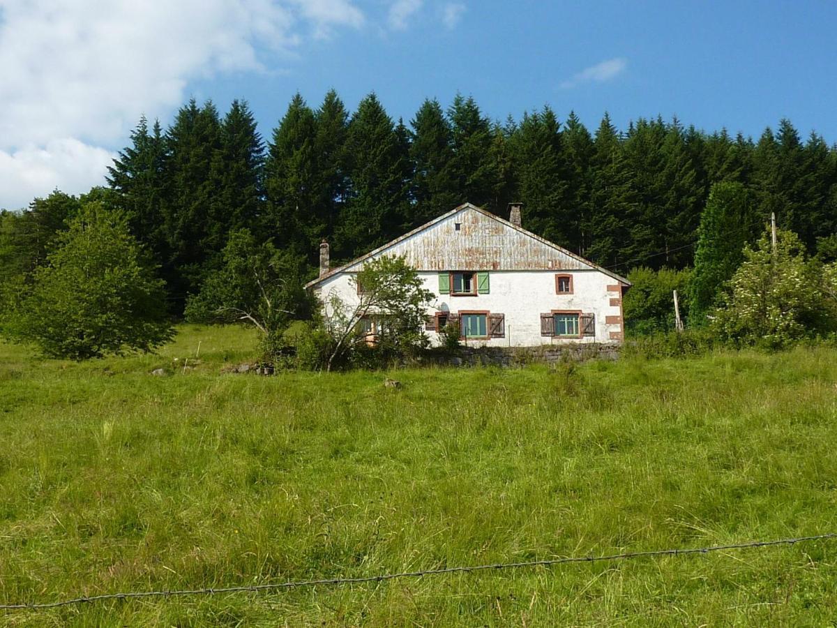 Charming Holiday Home Near The Ski Slopes Vagney Zewnętrze zdjęcie