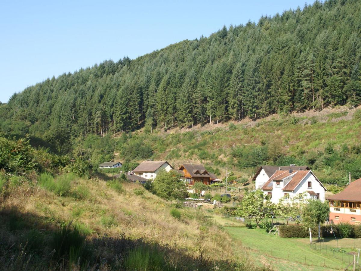 Charming Holiday Home Near The Ski Slopes Vagney Zewnętrze zdjęcie