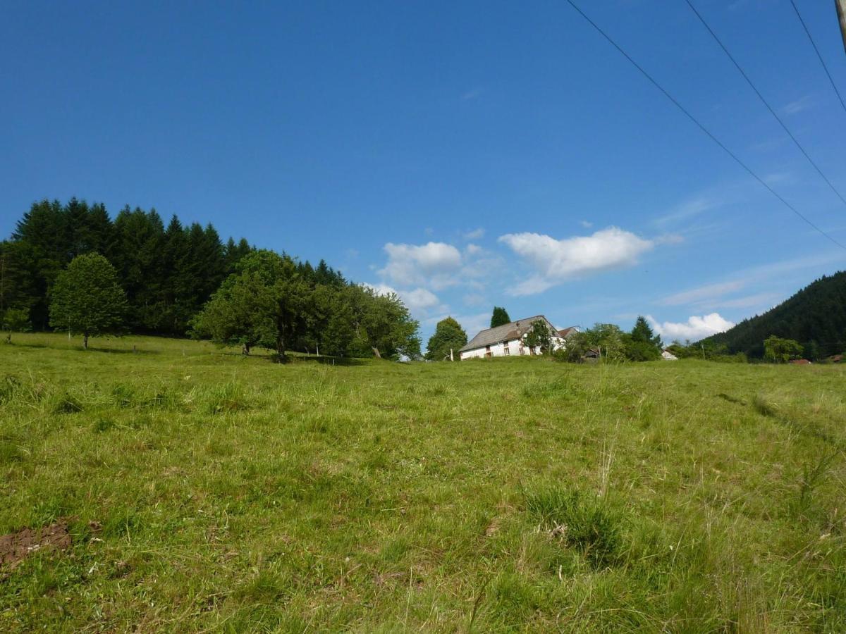 Charming Holiday Home Near The Ski Slopes Vagney Zewnętrze zdjęcie