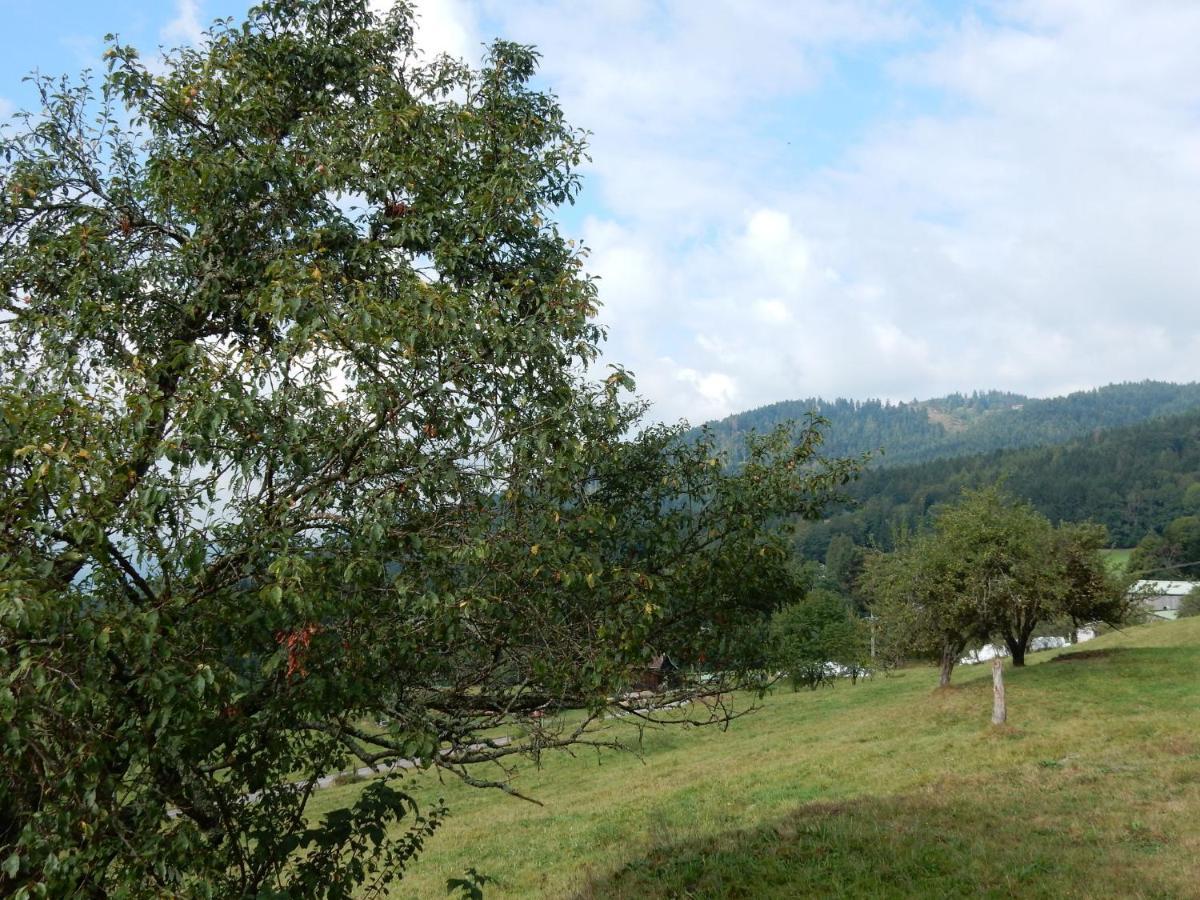 Charming Holiday Home Near The Ski Slopes Vagney Zewnętrze zdjęcie