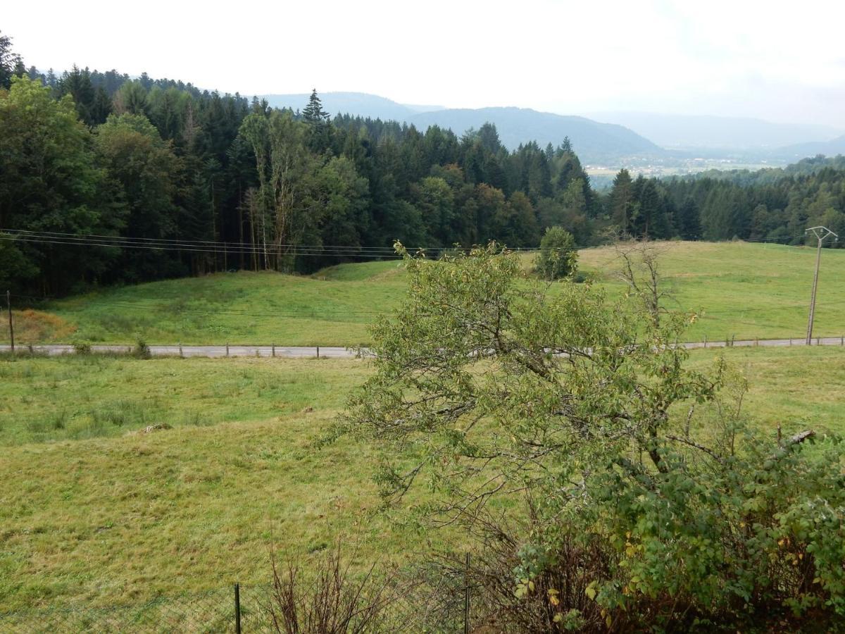 Charming Holiday Home Near The Ski Slopes Vagney Zewnętrze zdjęcie