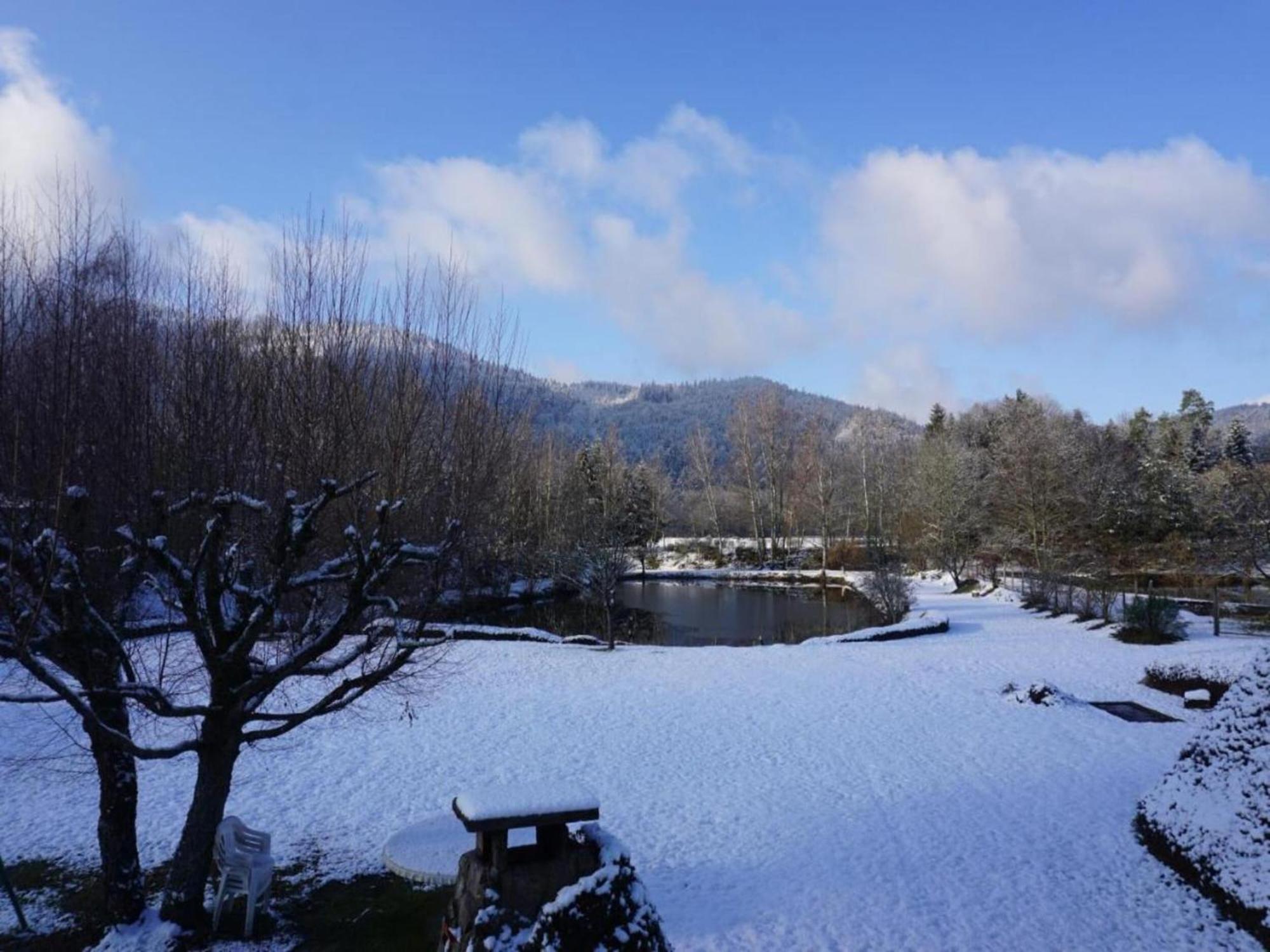 Charming Holiday Home Near The Ski Slopes Vagney Zewnętrze zdjęcie